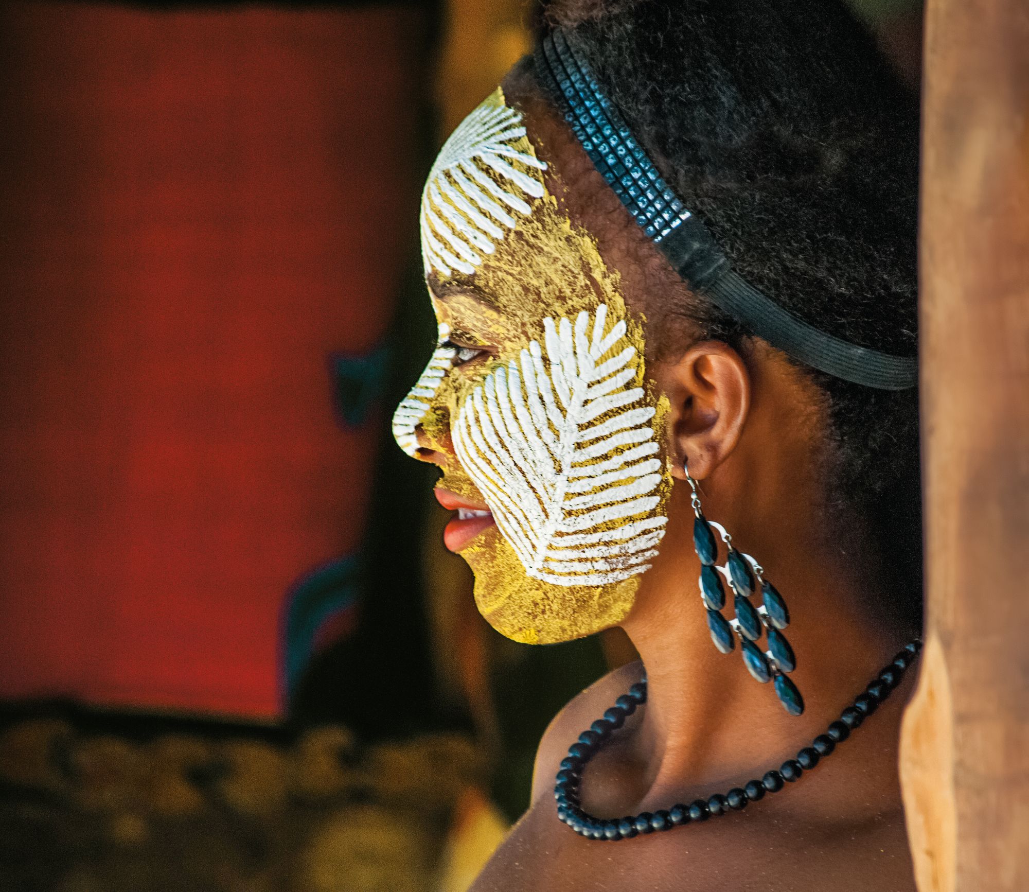 Expedition Madagaskar und Südafrika: Wildniswunder mal zwei