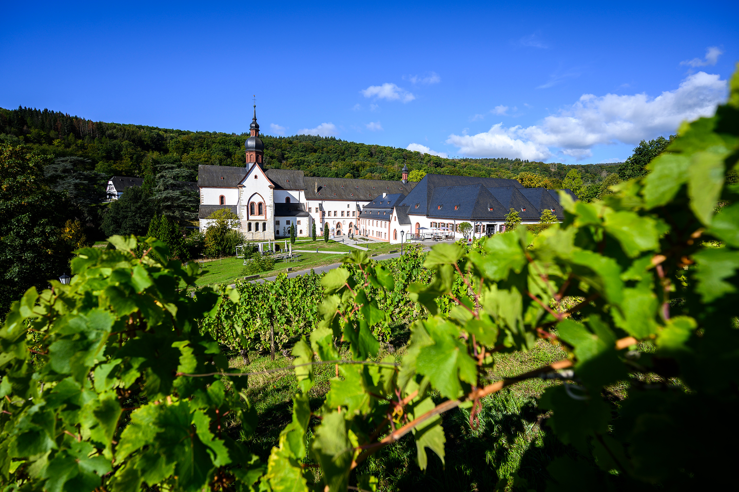 Kloster Eberbach © Sven Moschitz