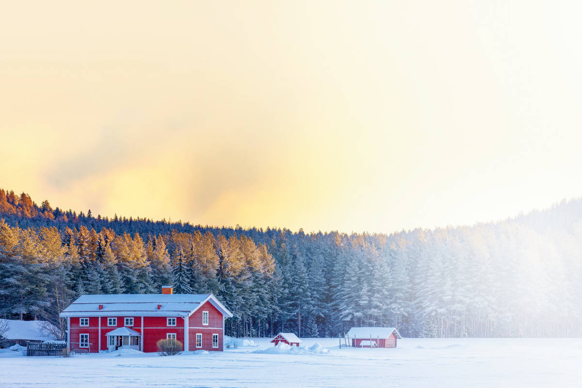 Swedish red cottage near Lulea, Swedish Lapland, Sweden, Europe