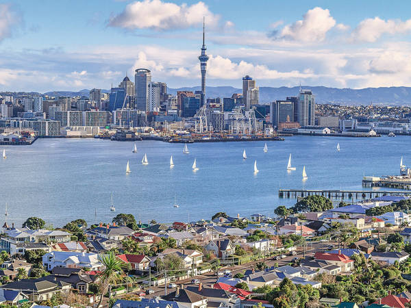 Auckland City View NZ