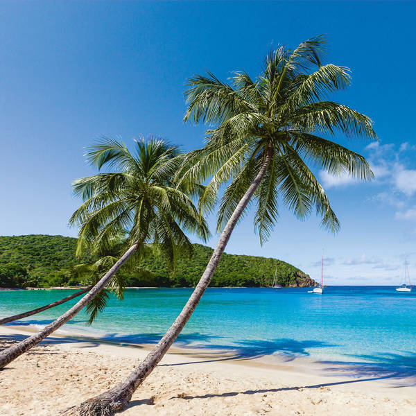 155370088 Salt Whistle Bay, Mayreau