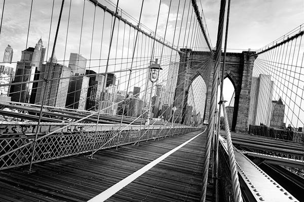 481958504 Brooklyn Bridge in New York City