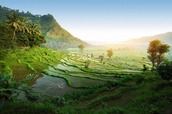 City Guide Bali, Denpasar