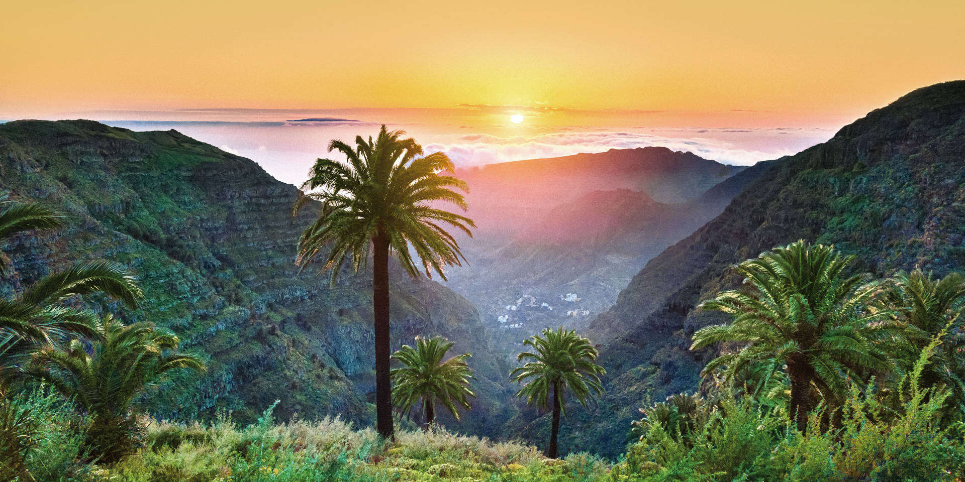 Amazing tropical scenery with palm trees and mountains at sunset
