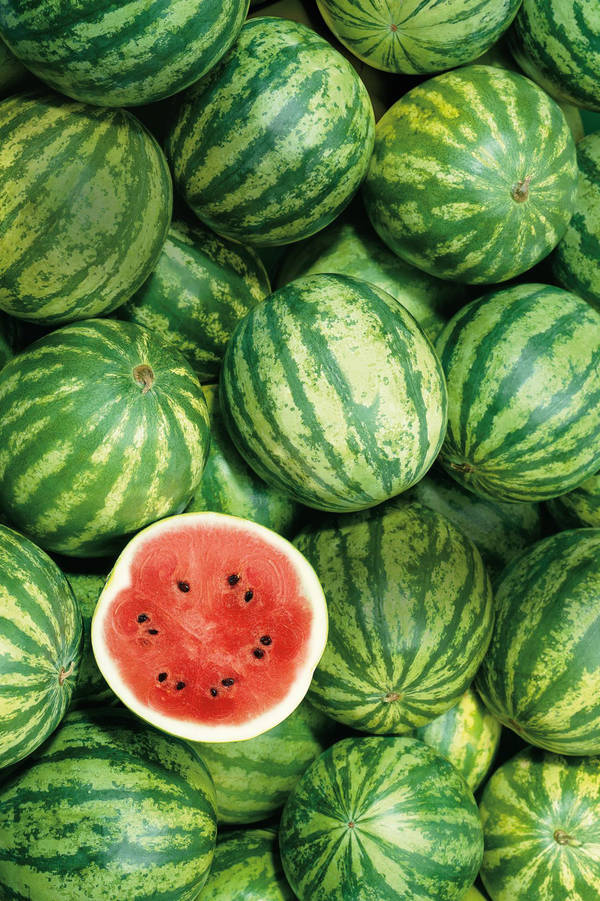 157405770 Melon wallpaper