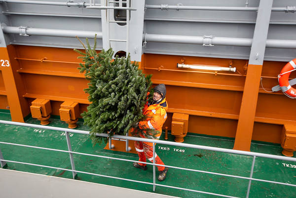 Weihnachtsbaumverteilaktion in Hamburg Hafen