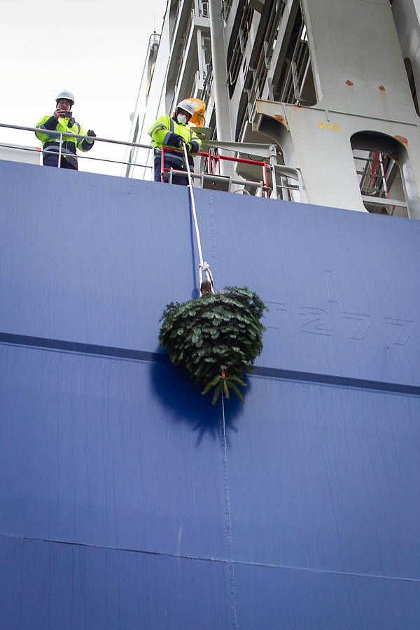 Weihnachtsbaumverteilaktion in Hamburg Hafen
