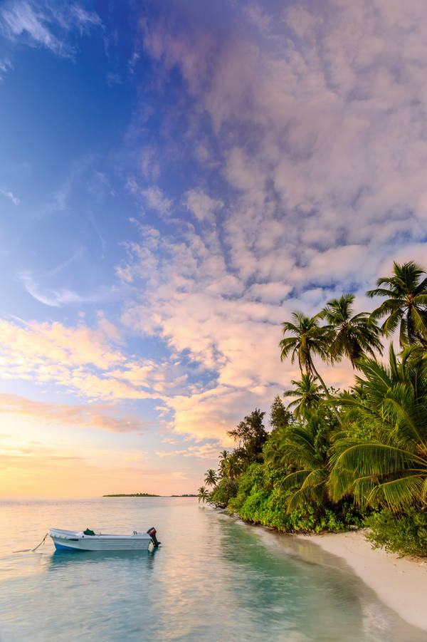 535902271 Sunrise over tropical beach with palms, Maldives
