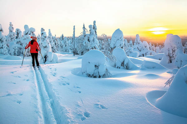 Woman cross country skiing in Lapland Finland sunset