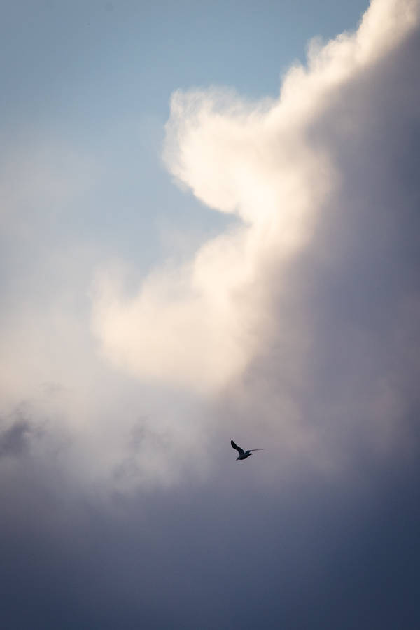 Ocean Sun Festival in Helsinki, EUROPA, Hapag-Lloyd Cruises