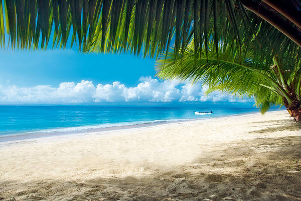 A4BWPB Coconut palms and classic tropical beach Ile aux Nattes Nosy Nato Madagascar
