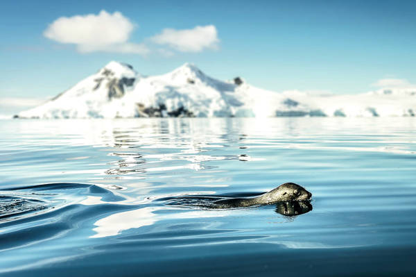 Südpolarmeer Südpolarmeer