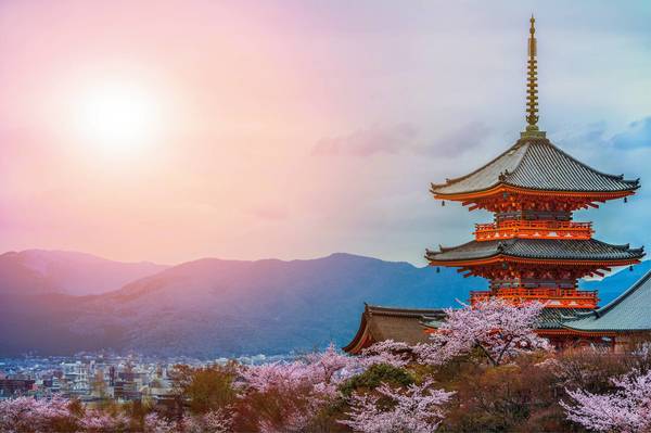 Evening. Pagoda with sky and cherry blossoms on the background.