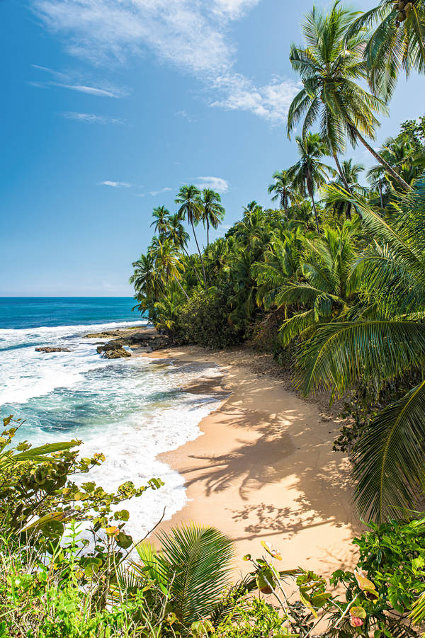 Wild caribbean beach of Manzanillo at Puerto Viejo, Costa Rica