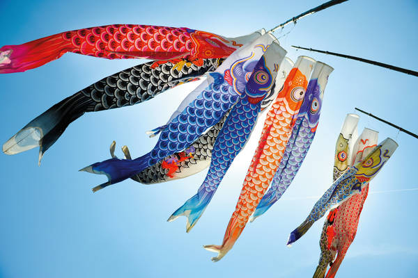 183863539 Koinobori (koi shaped japanese kite)