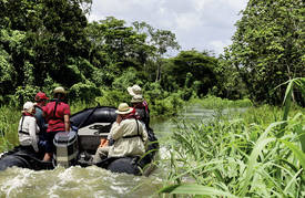 Expedition Amazonas (stromabwärts) - Legende, Lebensquelle und Labyrinth