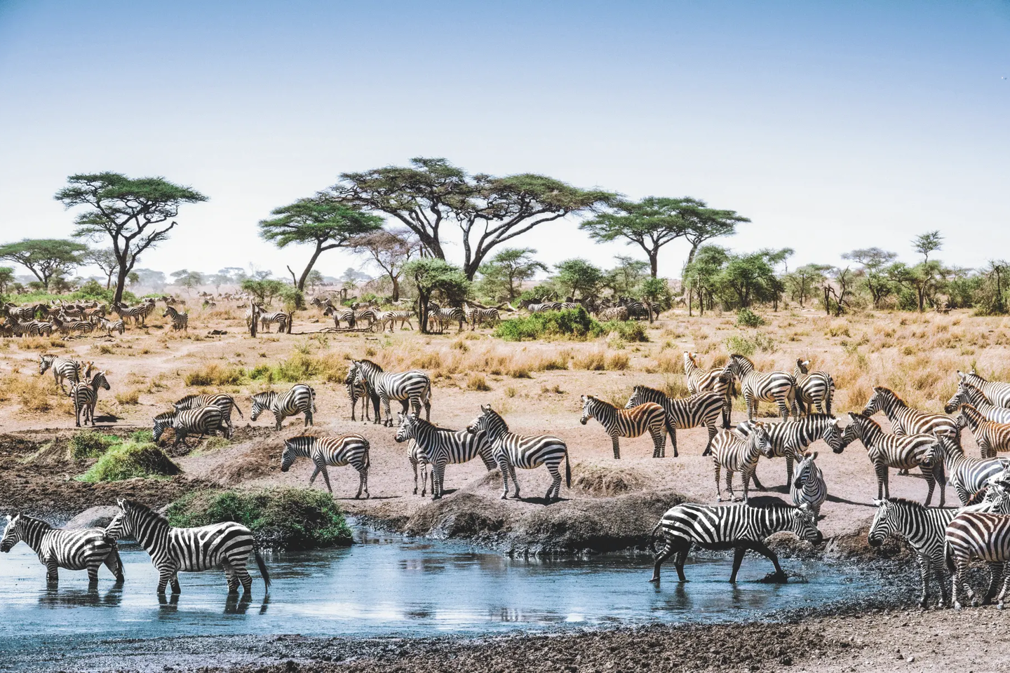 Afrika