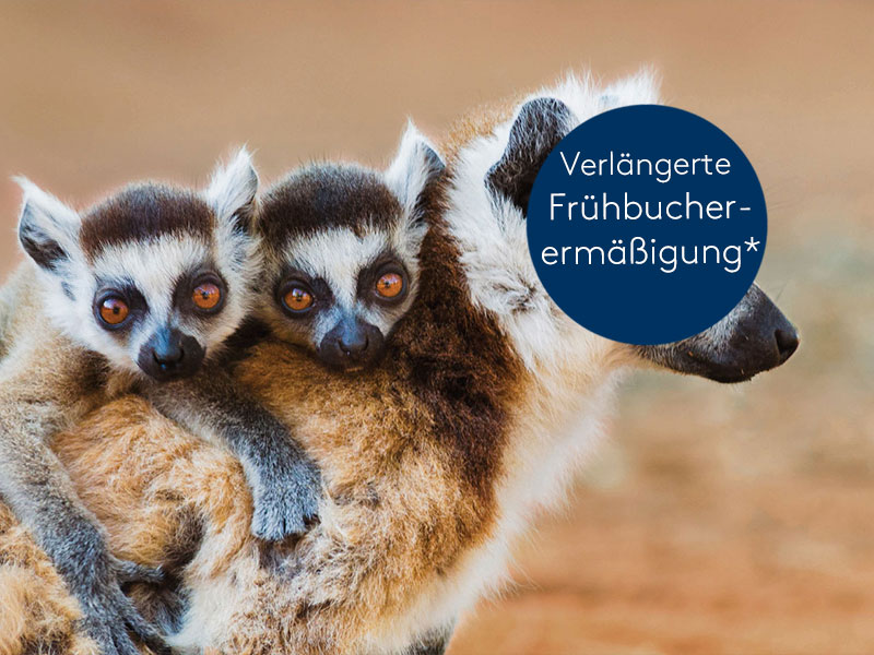 Mit der EUROPA auf Expeditionskurs in Madagaskar