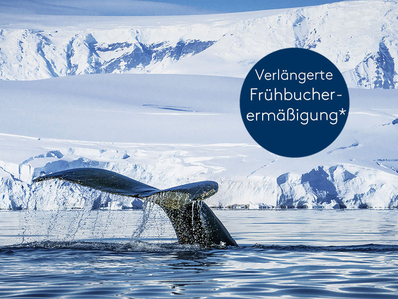 Expedition Antarktis mit Chiles Fjordwelt