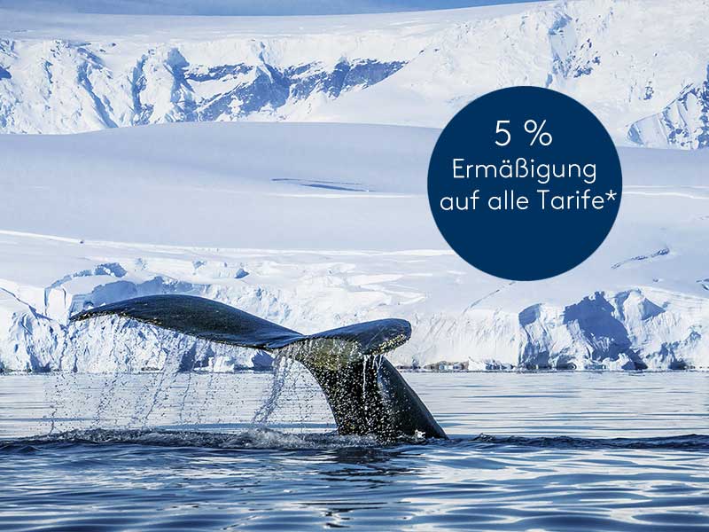Expedition Antarktis mit Chiles Fjordwelt