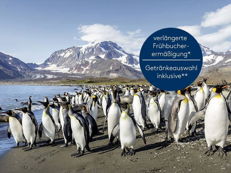 Expedition Antarktis mit Chiles Fjordwelt