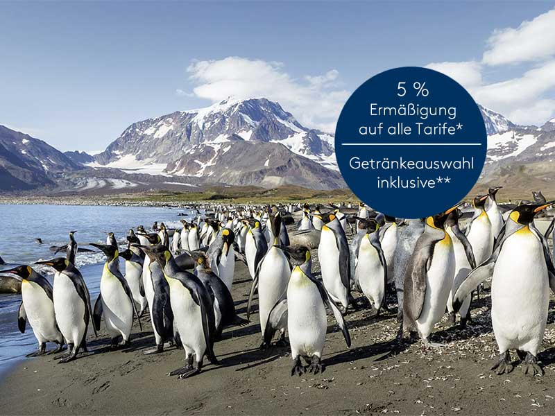 Expedition Antarktis mit Chiles Fjordwelt