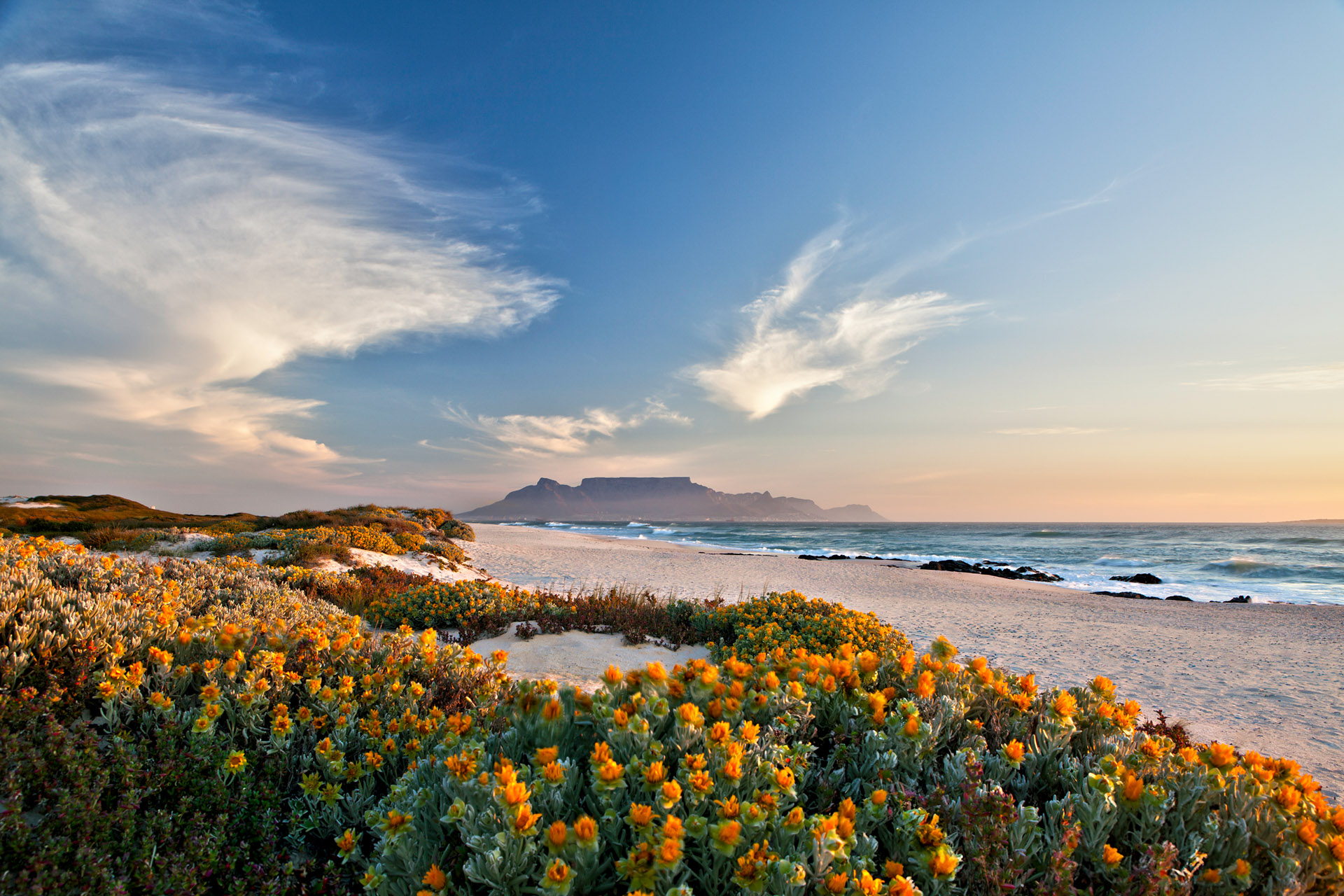 Der Rhythmus Afrikas