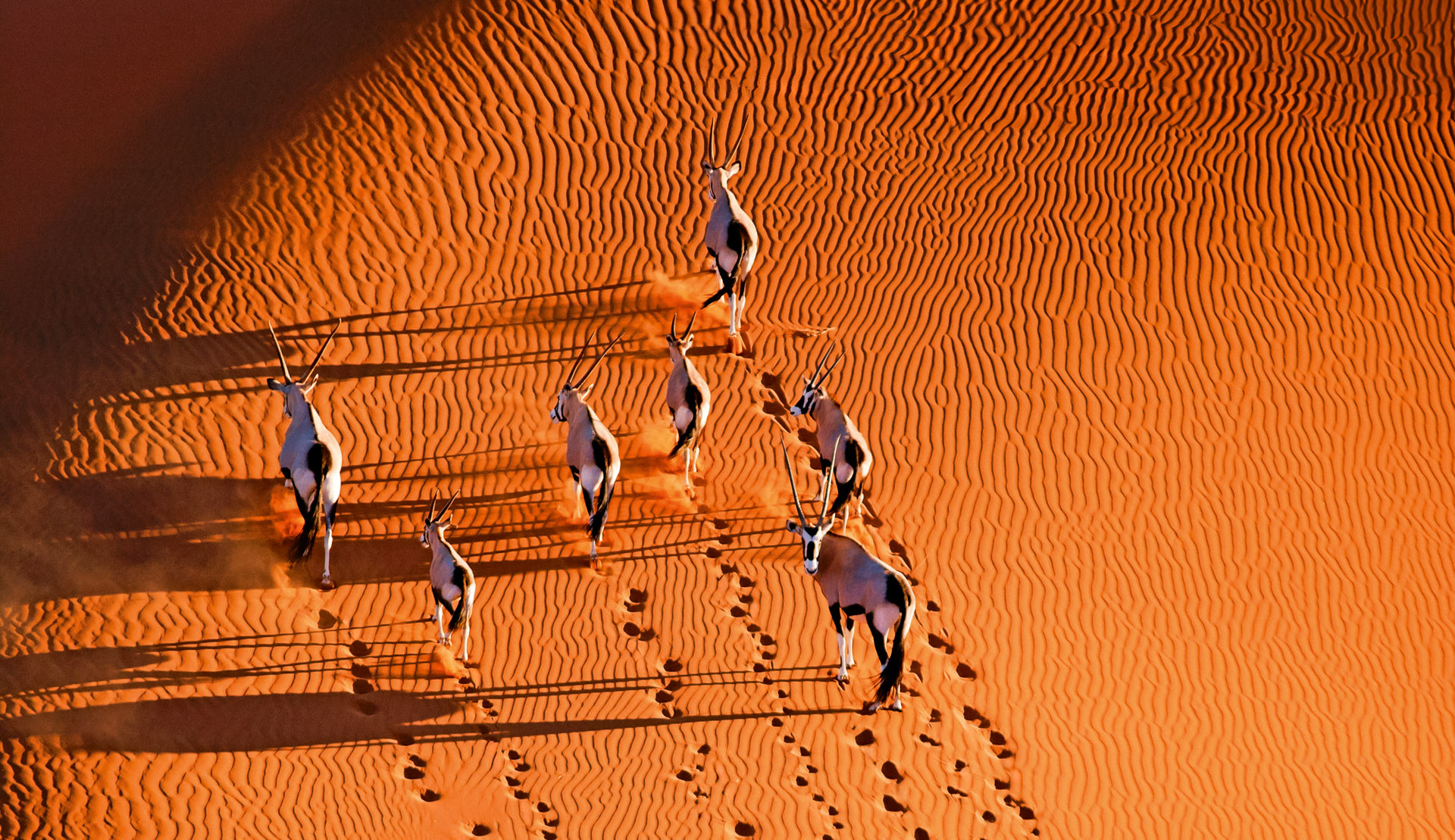 Wüstenwunder und atlantische Schönheiten