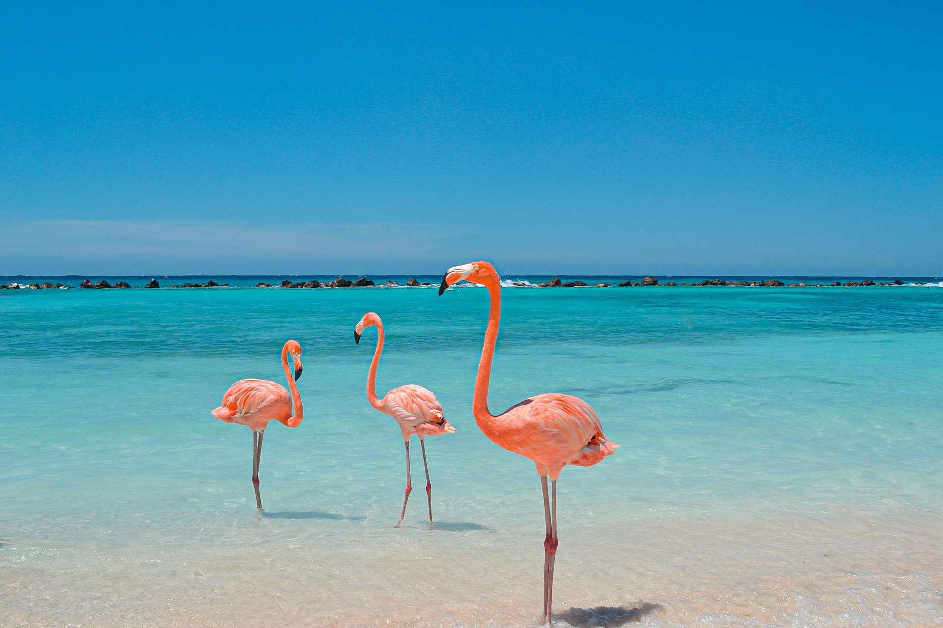 Vom Big Apple ins Herz der Karibik