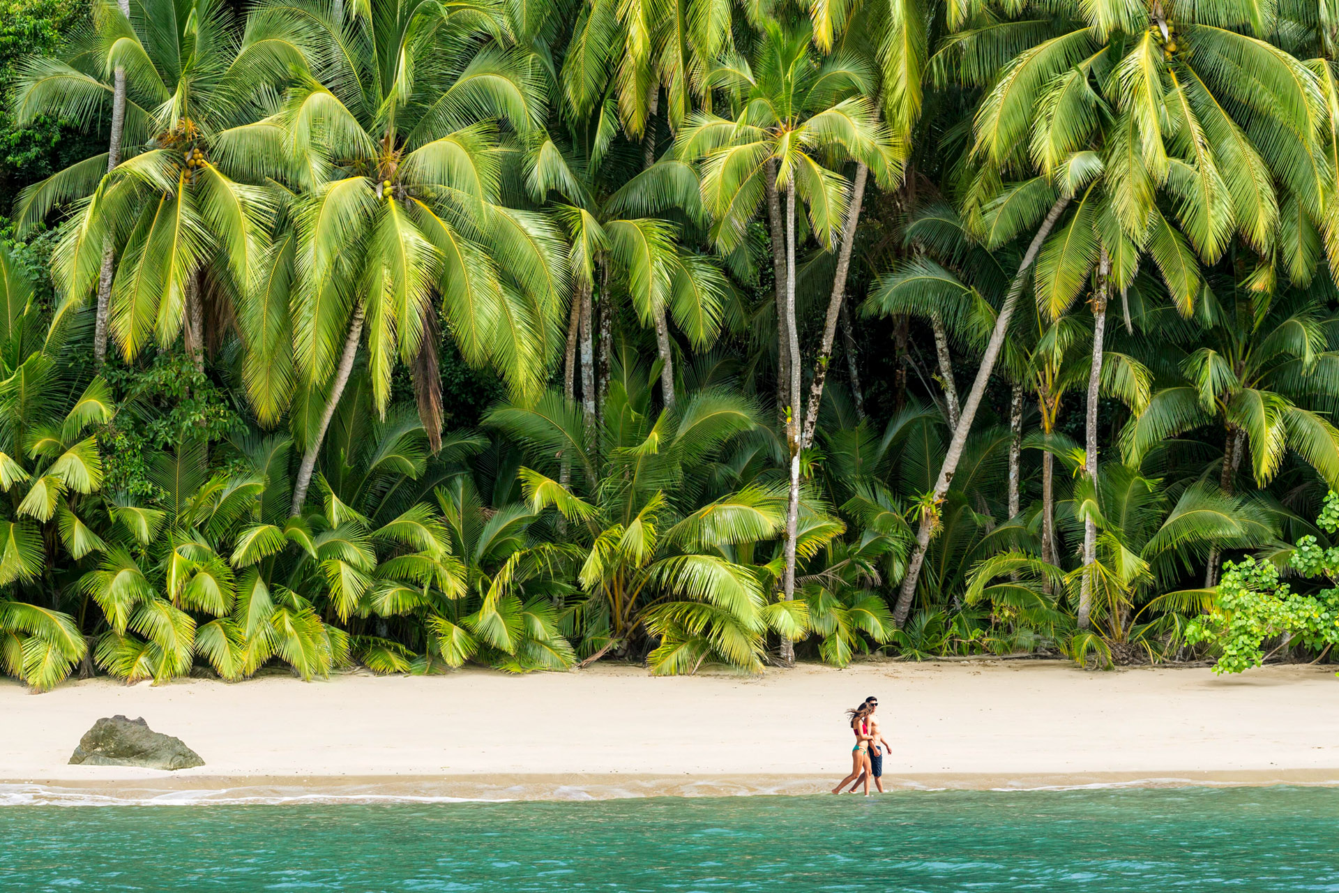 Feiertage getragen vom Duft tropischer Natur
