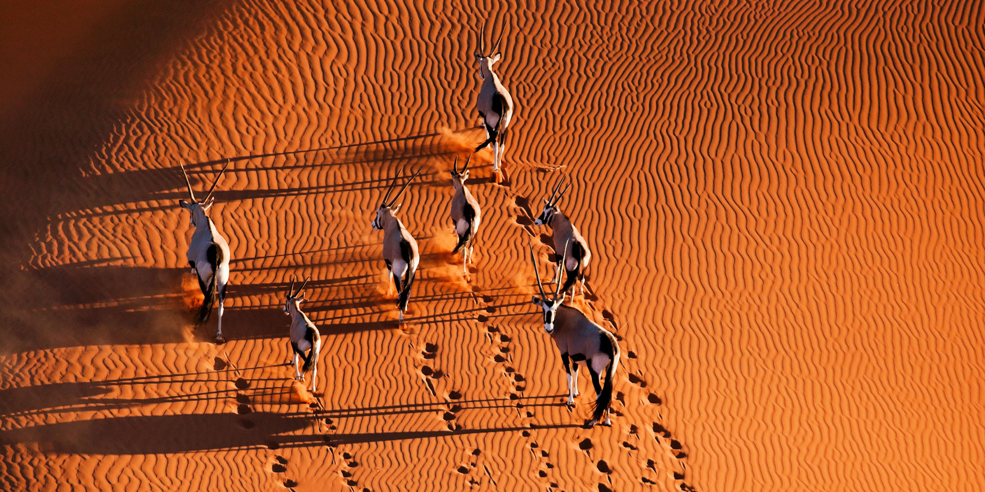 Afrikas wilde Westküste