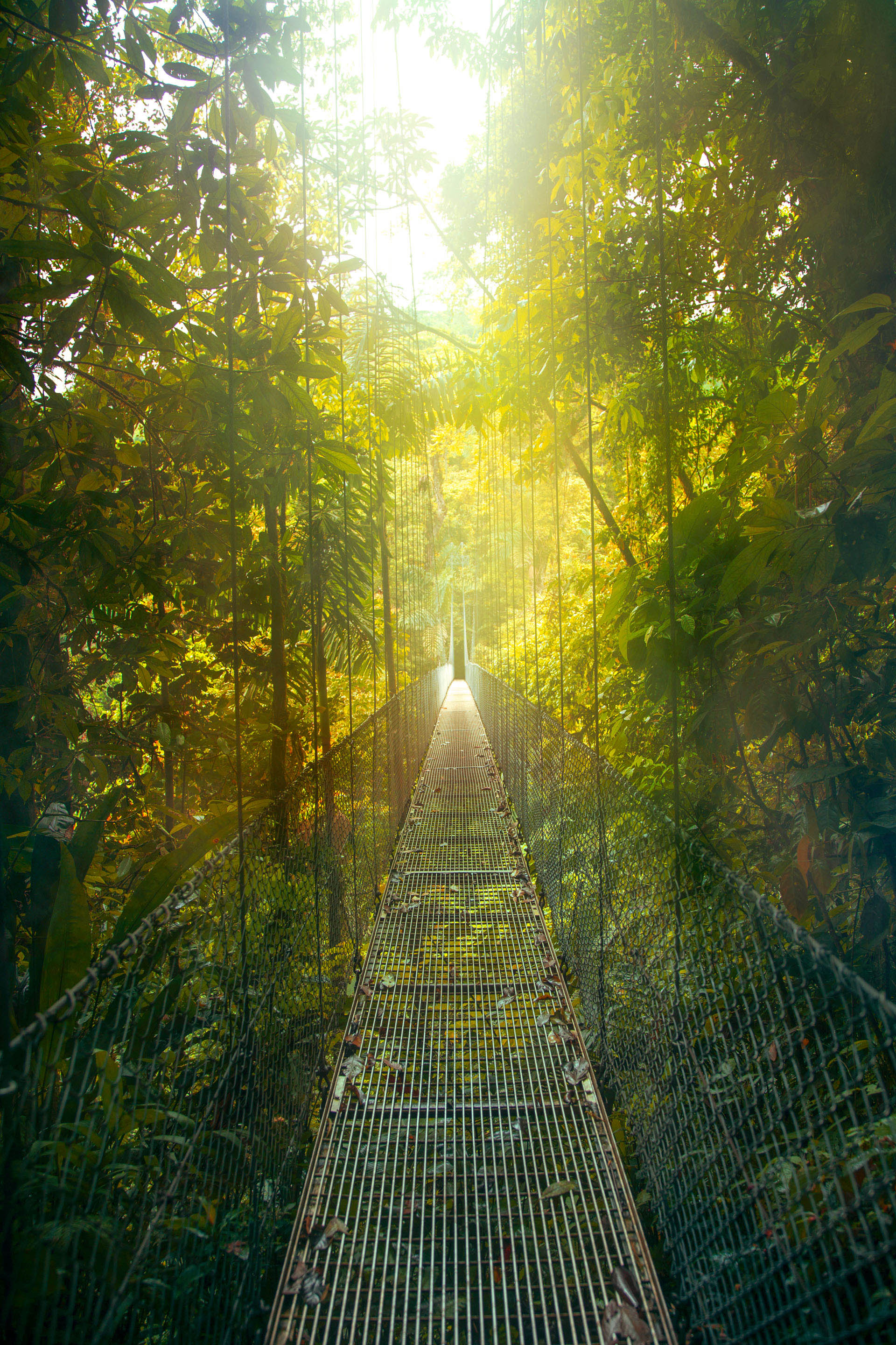 Pura Vida – Costa Rica intensiv erleben