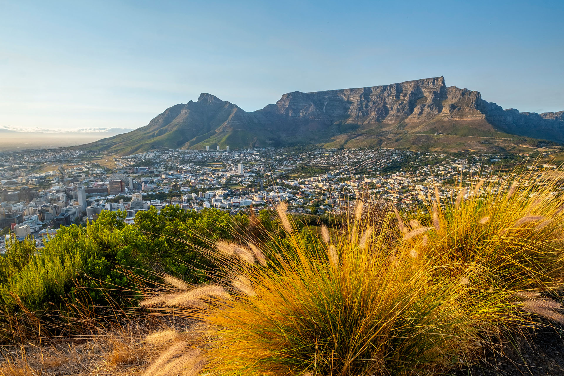 Sehnsuchtsziel Afrika