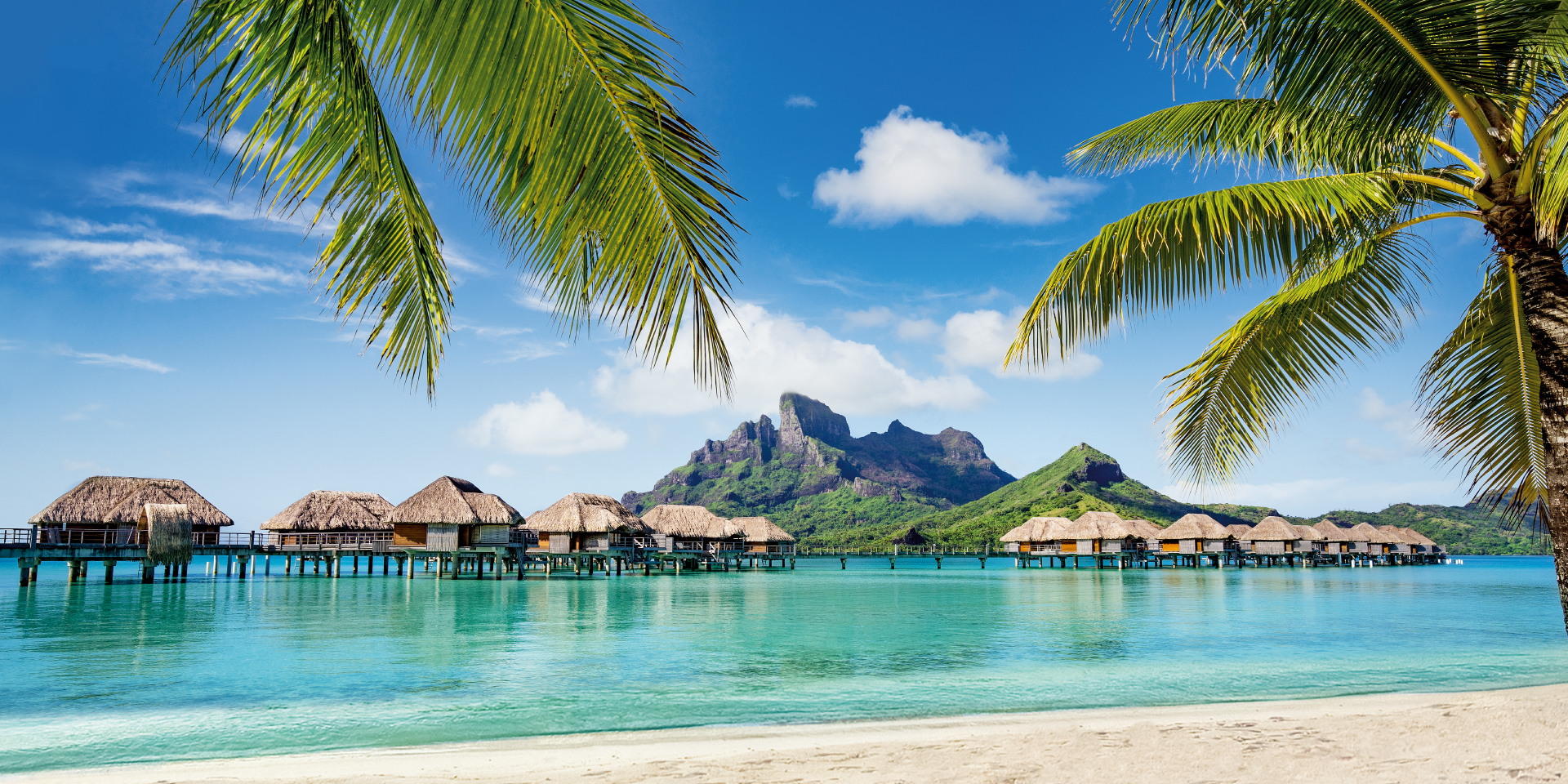 Destination Paradies