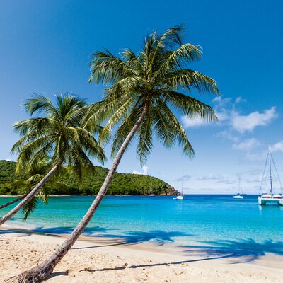 Paradiesische Festtage unter Palmen