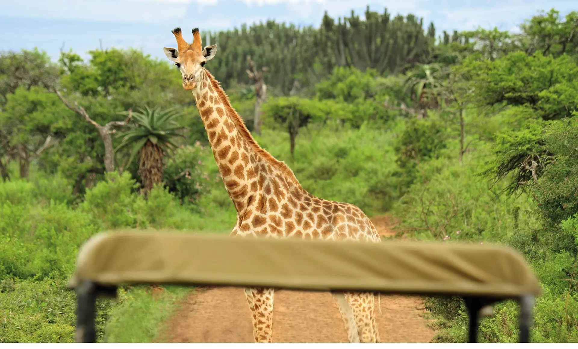Abenteuer Südafrika