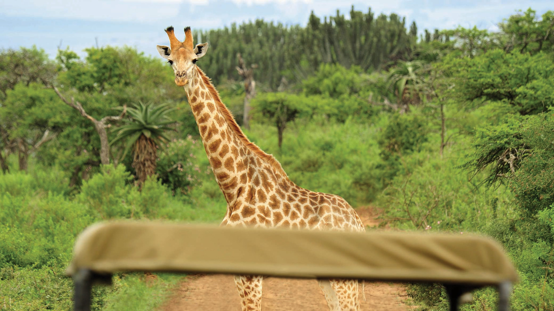 Abenteuer Südafrika