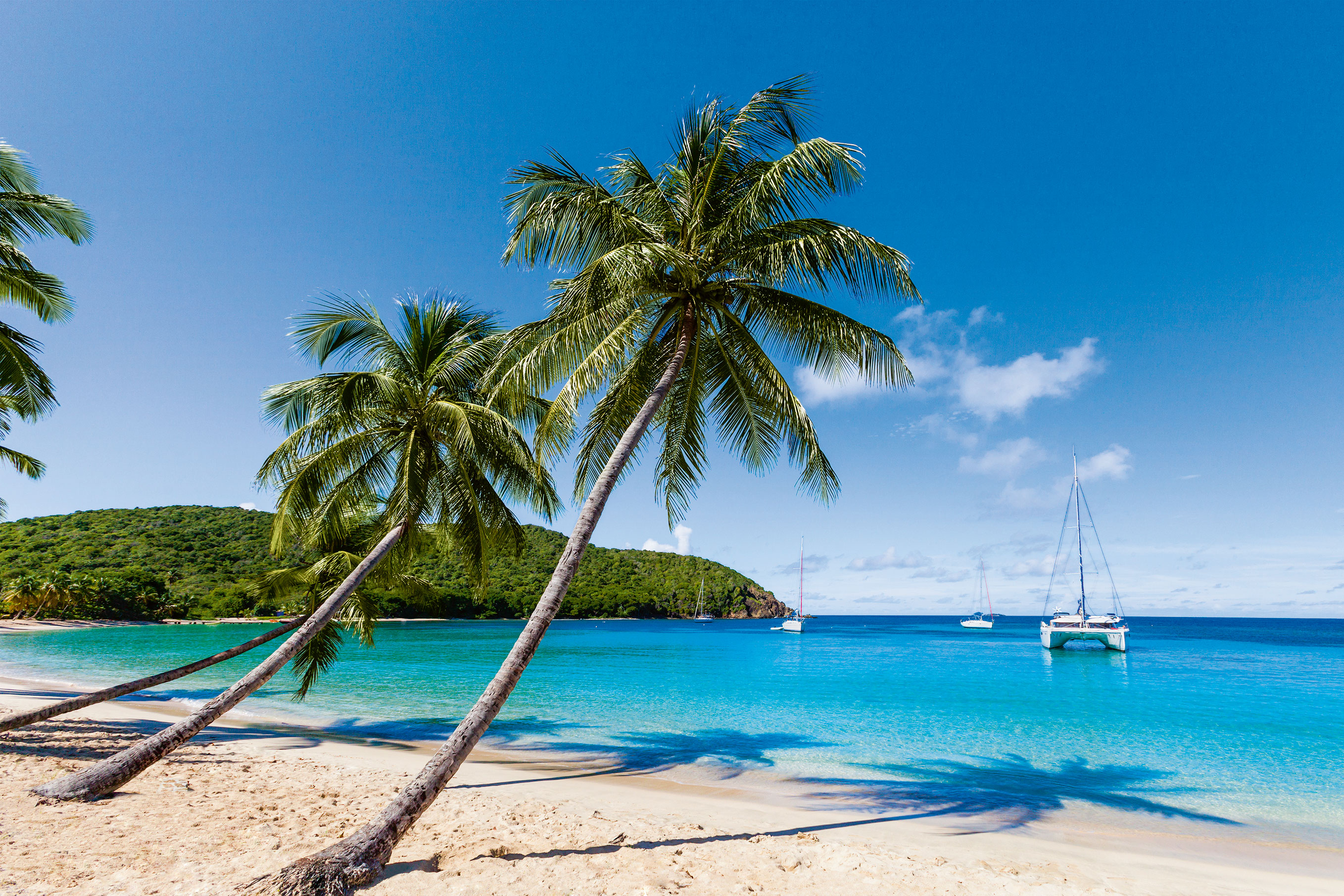Paradiesische Festtage unter Palmen