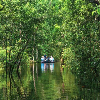 Expedition Amazonas: Das grüne Herz Südamerikas