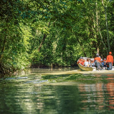 Expedition Südamerika mit Panamakanal: Auf Tuchfühlung mit der üppigen Natur