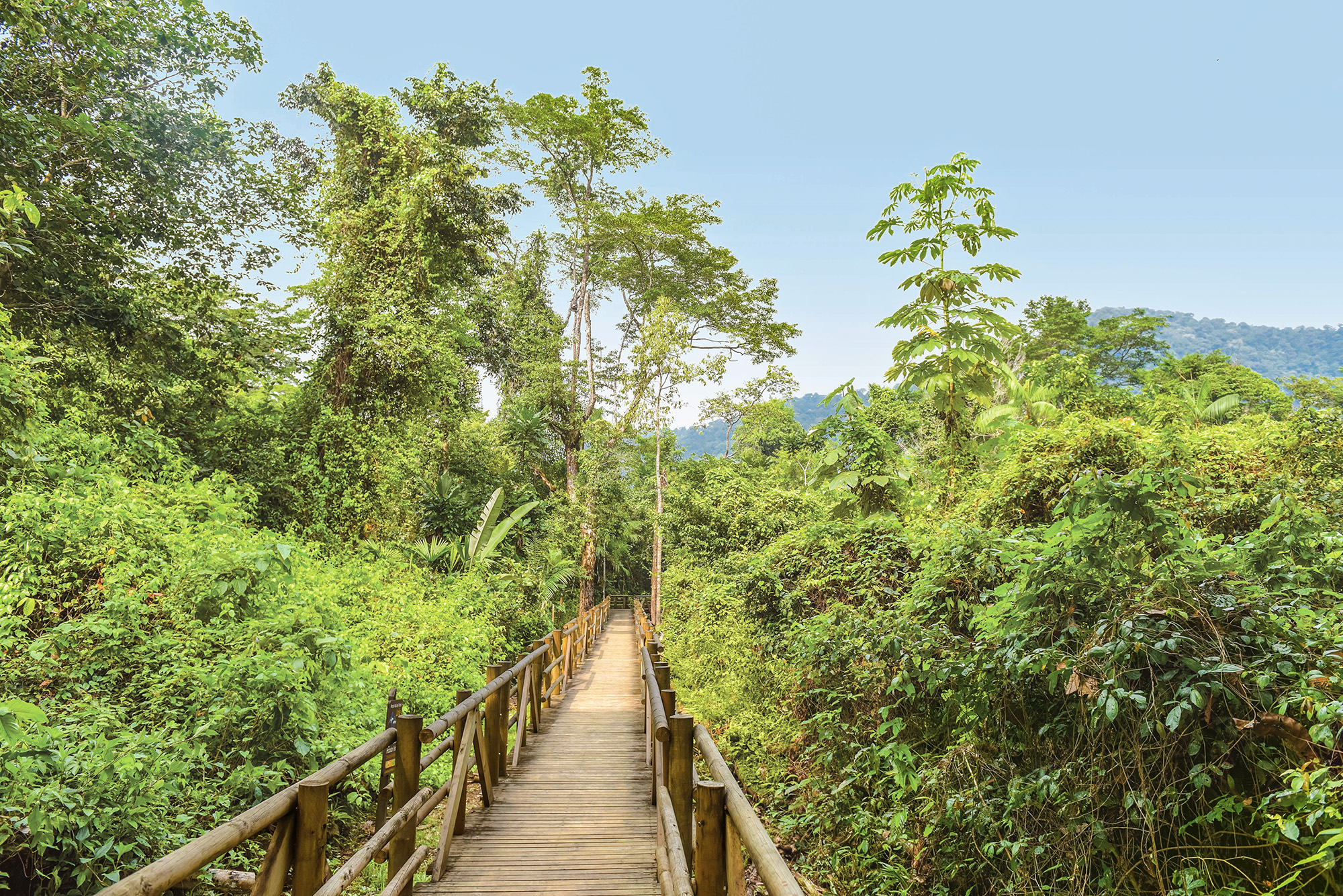 Expedition Süd- und Mittelamerika mit Panamakanal: Grenzenloses Kaleidoskop der Schöpfung