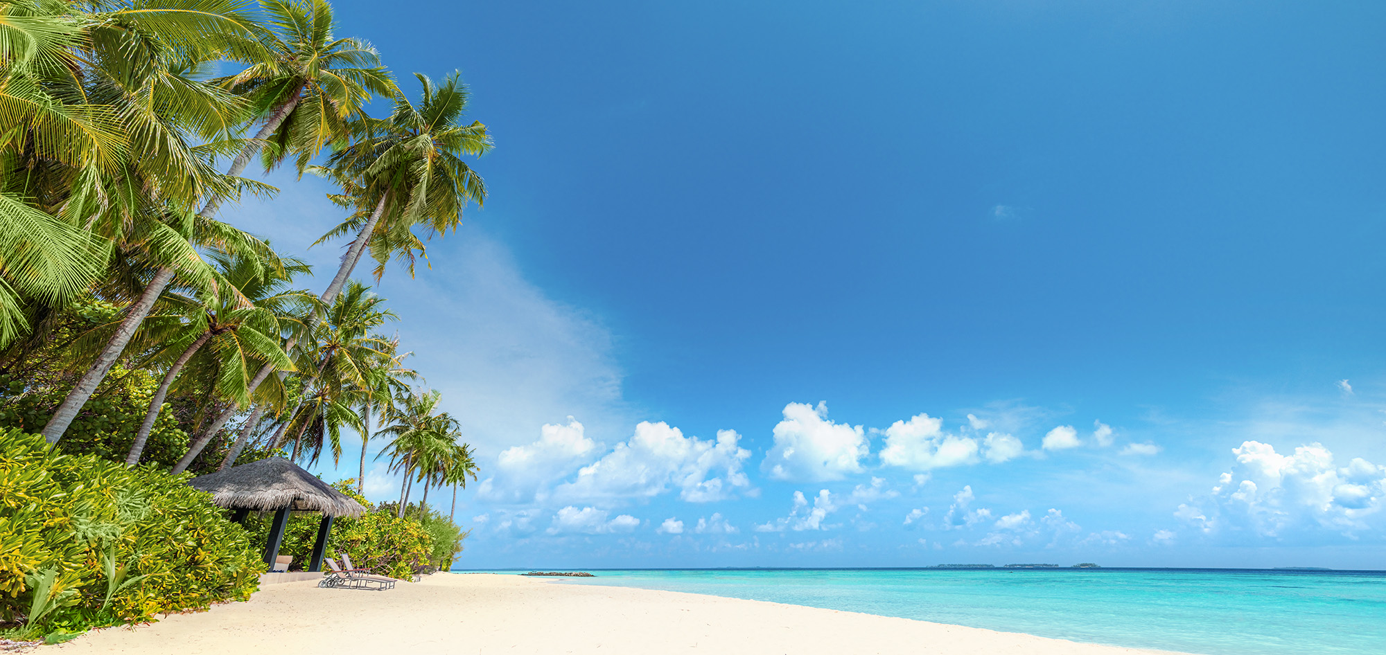 New York, Karibik und Panama: Wenn Metropole und Tropen verschmelzen