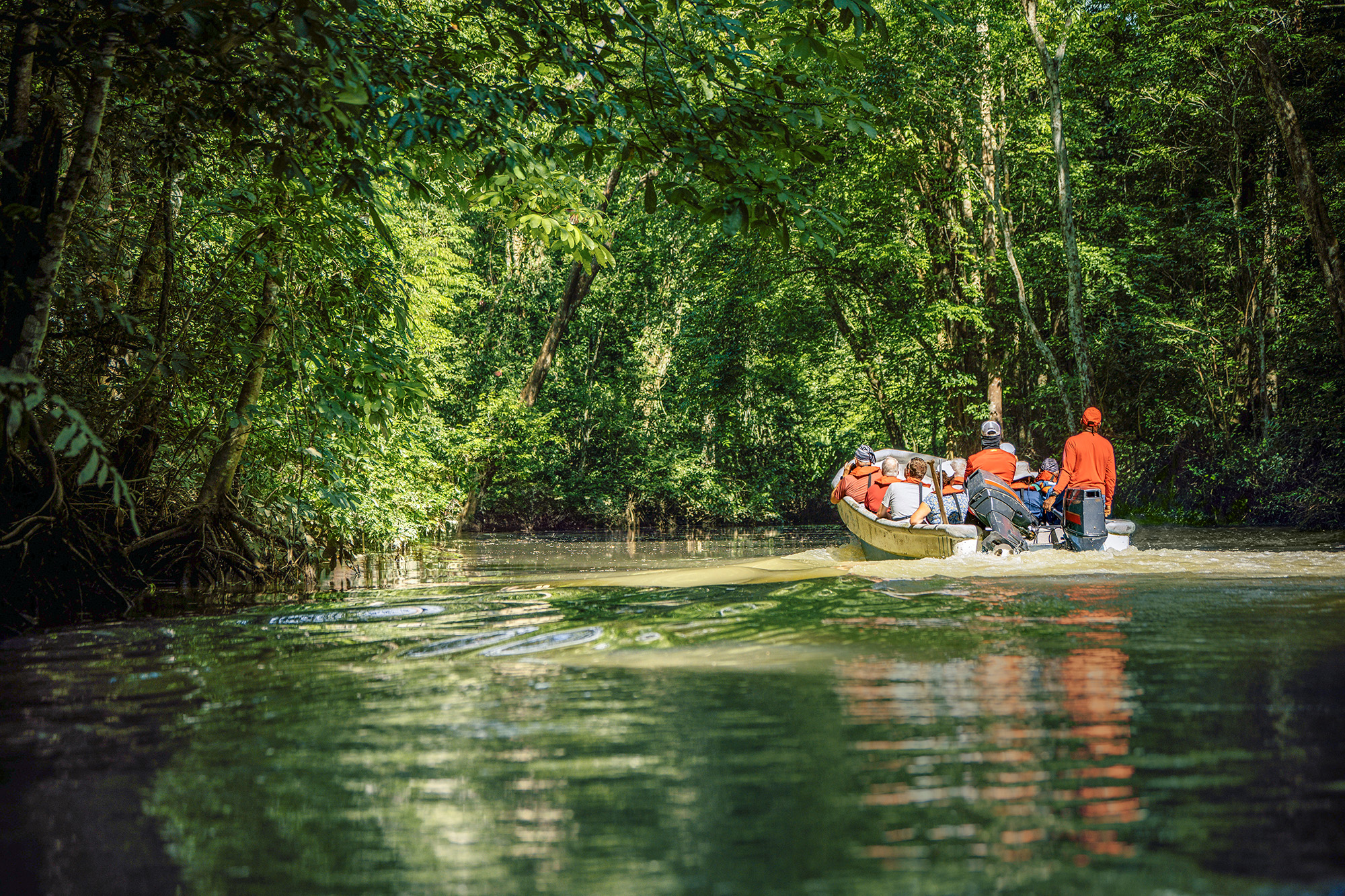 Expedition Südamerika mit Panamakanal: Auf Tuchfühlung mit der üppigen Natur