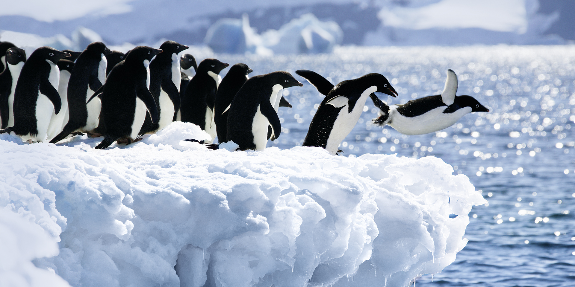 Expedition Antarktis - Südpolarkreis intensiv