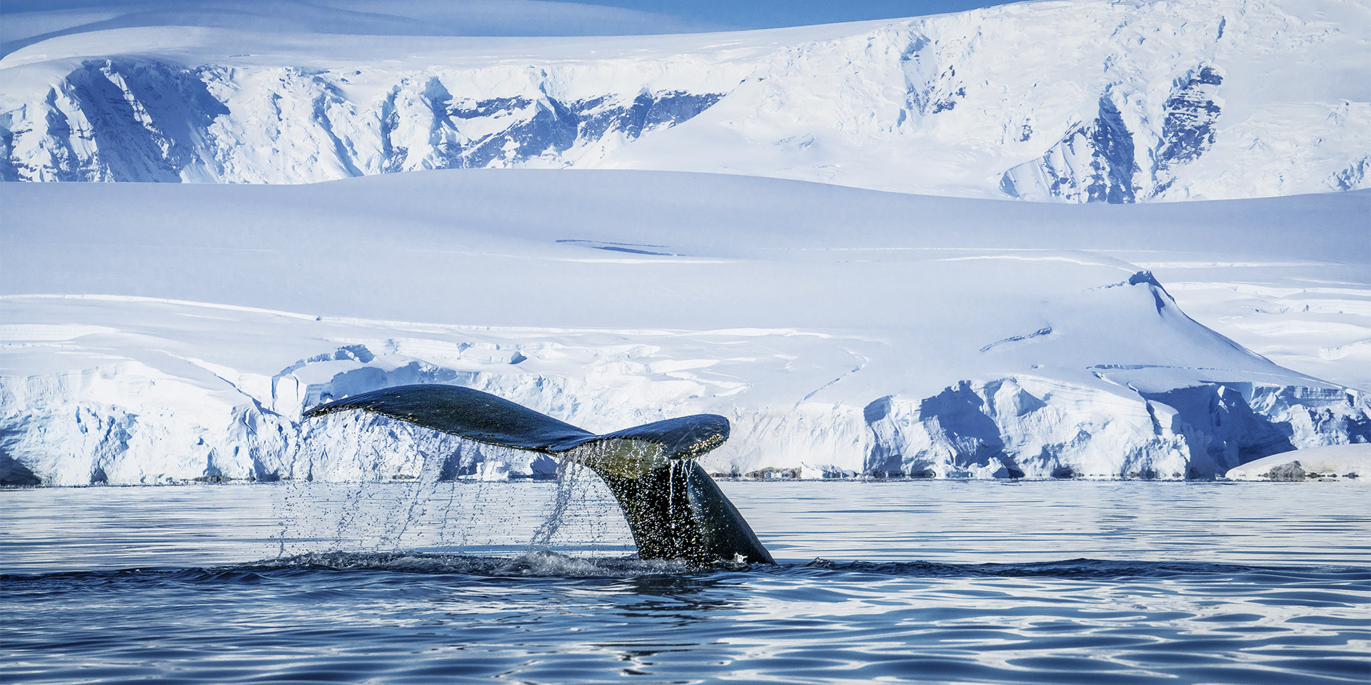 Expedition Antarktis mit Chiles Fjordwelt