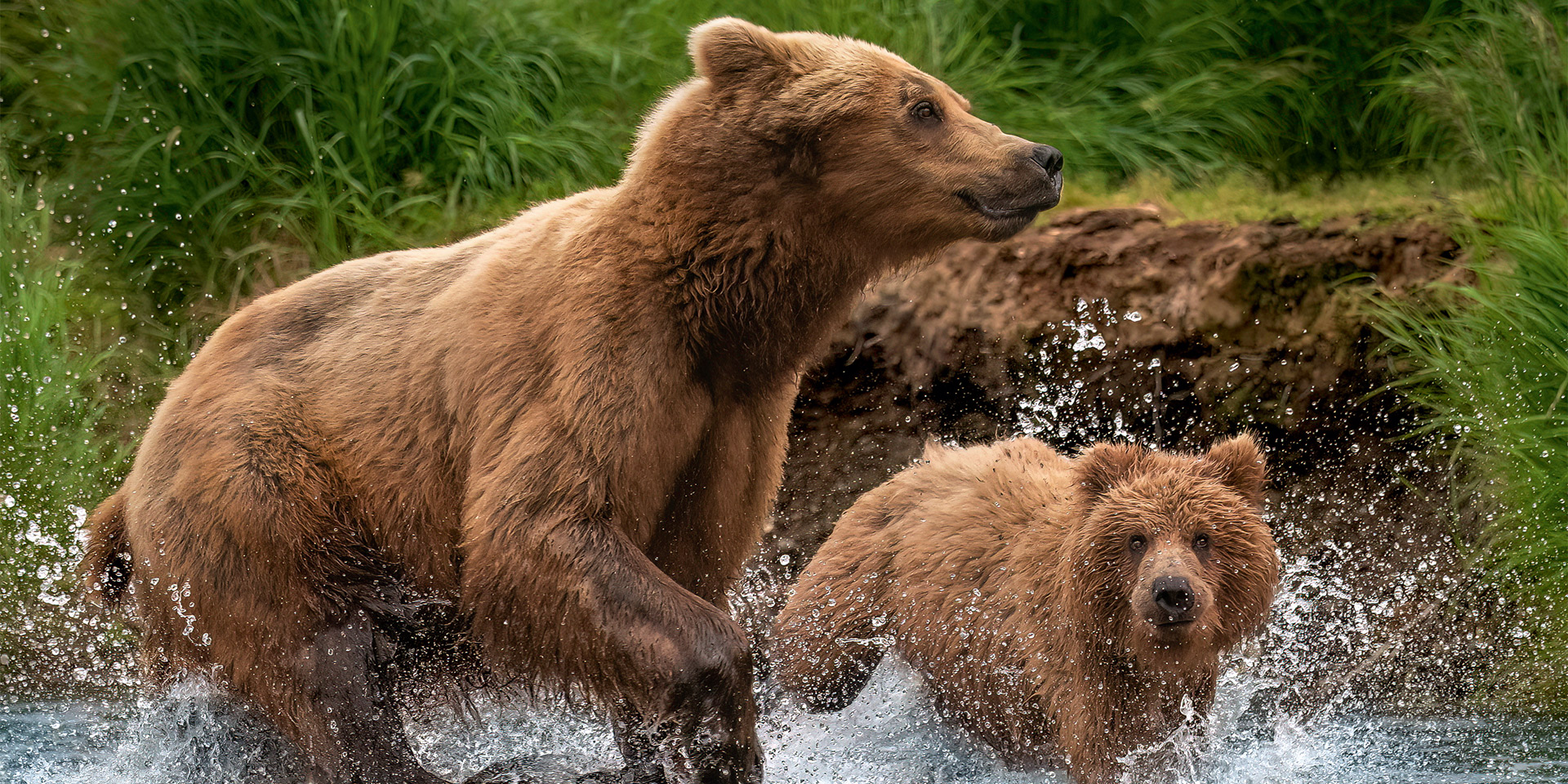 Alaska (Inside Passage Kurs Süd) – Im Goldrausch der Natur