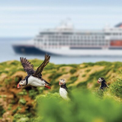 Expedition Rund um Island und Südwestgrönland: Premiere zwischen Feuer und Eis