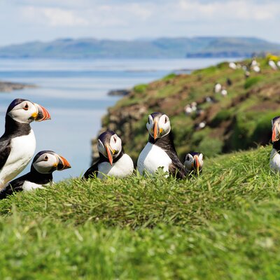 Expedition Rund um Irland und wildes Schottland: Geheimnisvolles Keltenreich – rau, wild und schön