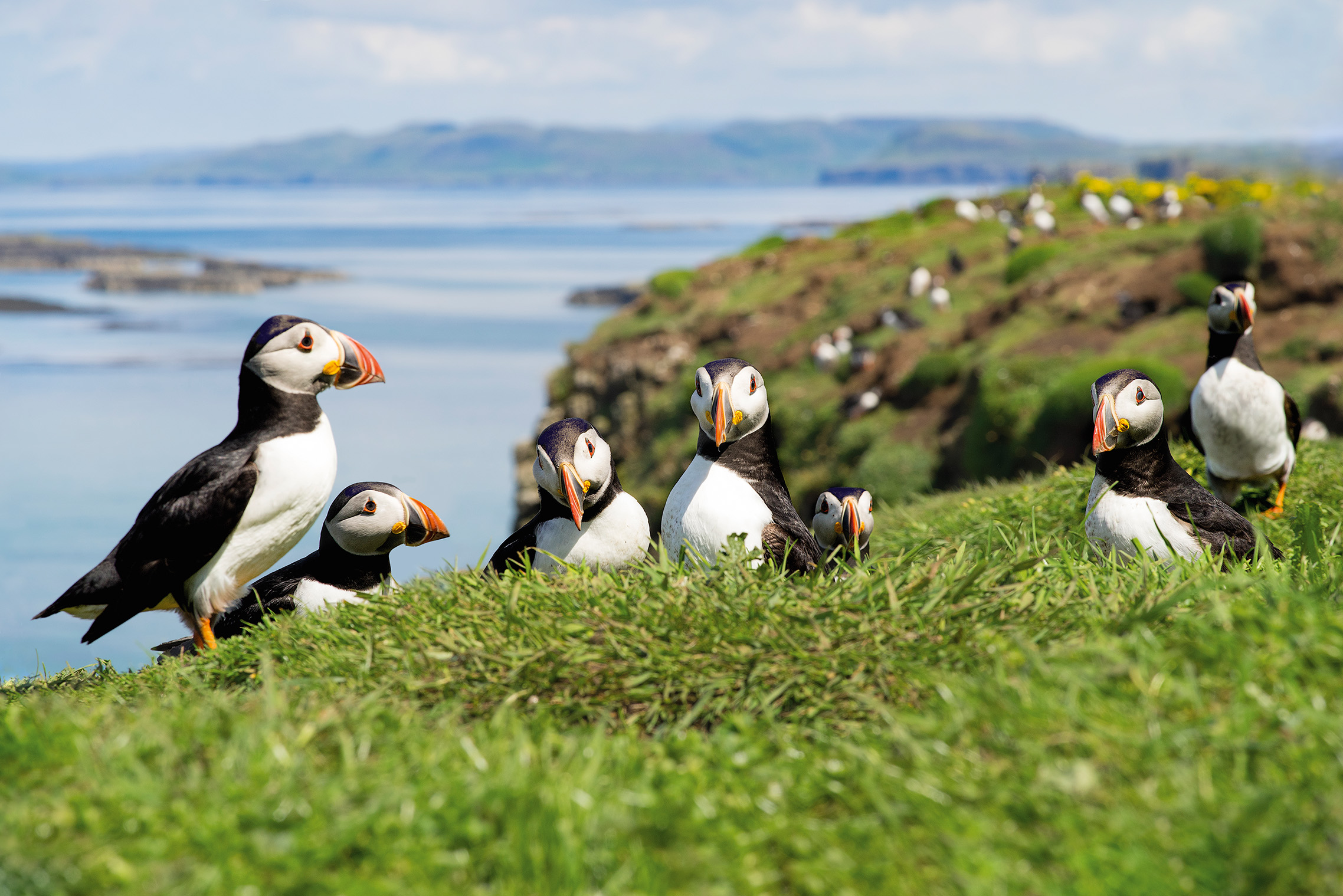 Expedition Rund um Irland und wildes Schottland: Geheimnisvolles Keltenreich – rau, wild und schön