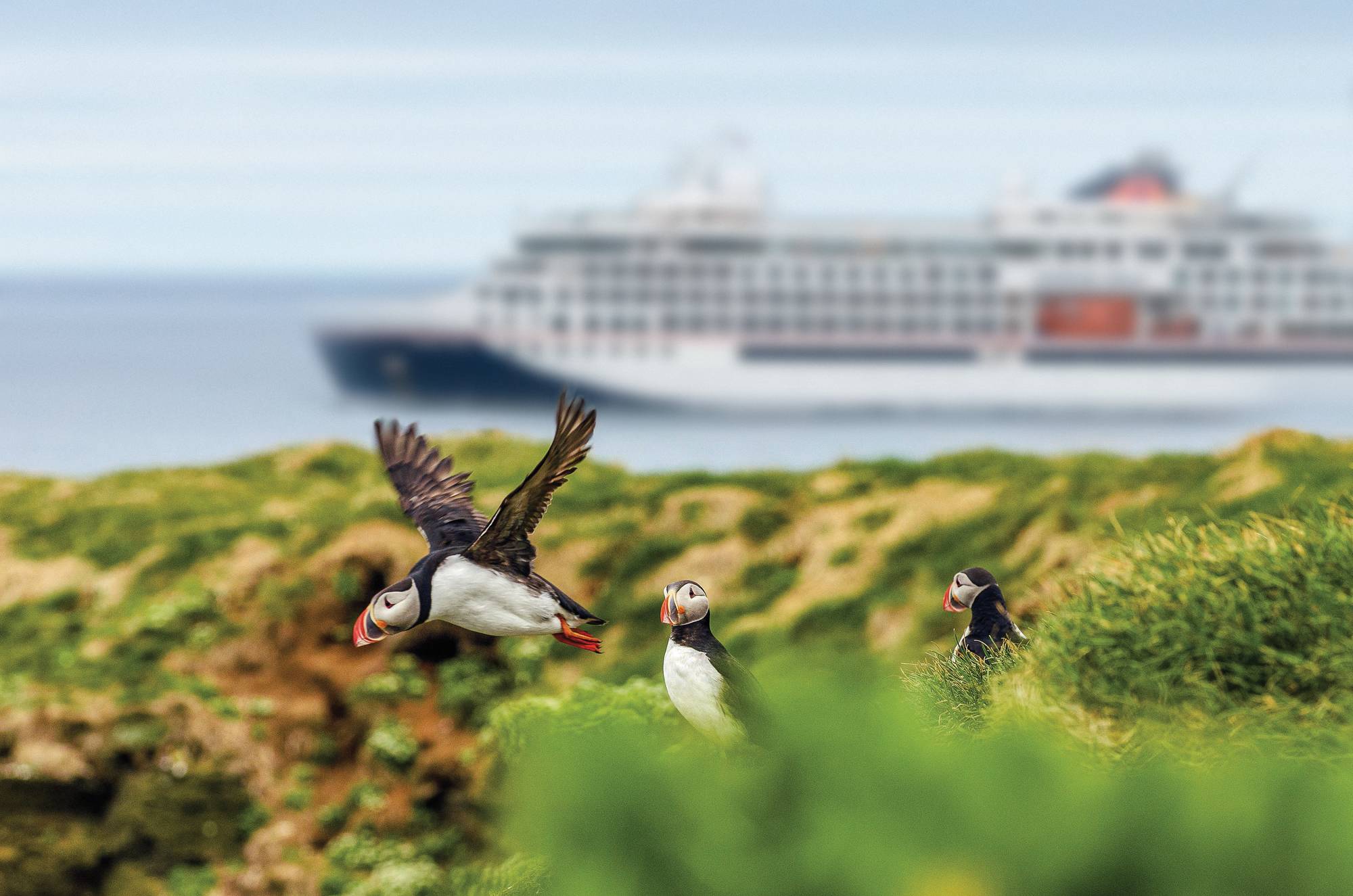 Expedition Rund um Island und Südwestgrönland: Premiere zwischen Feuer und Eis